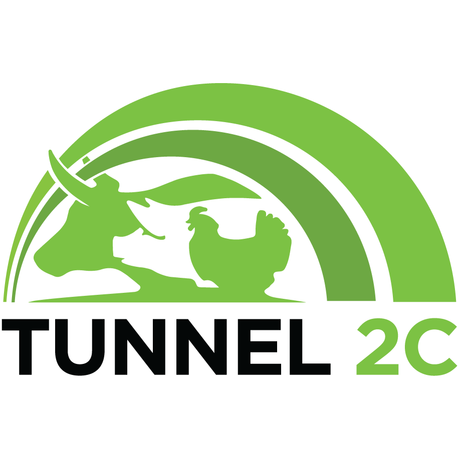 Logo tunnel 2 c